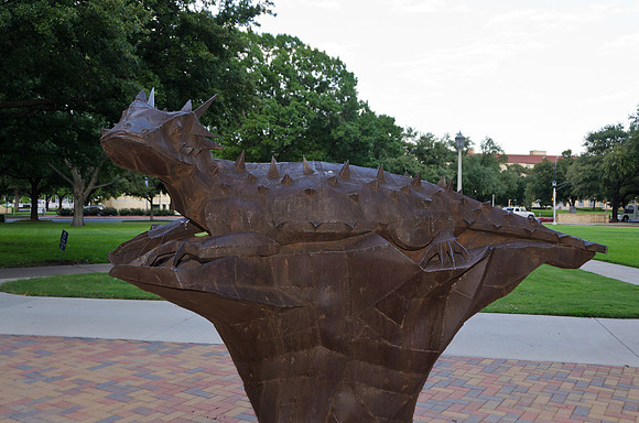 TCU Horn Frog