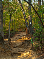Turkey Mountain