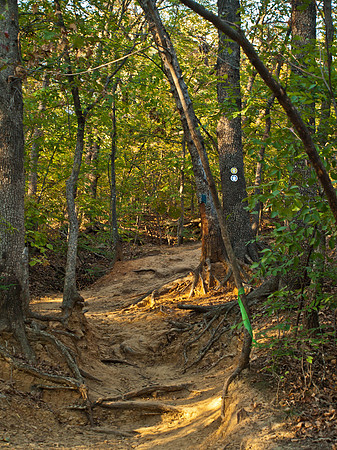 Turkey Mountain