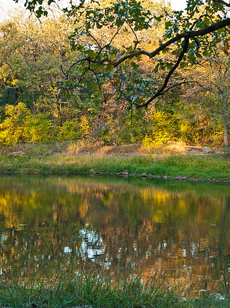 Turkey Mountain
