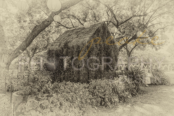 Alice in Wonderland - Dallas, TX - Sepia