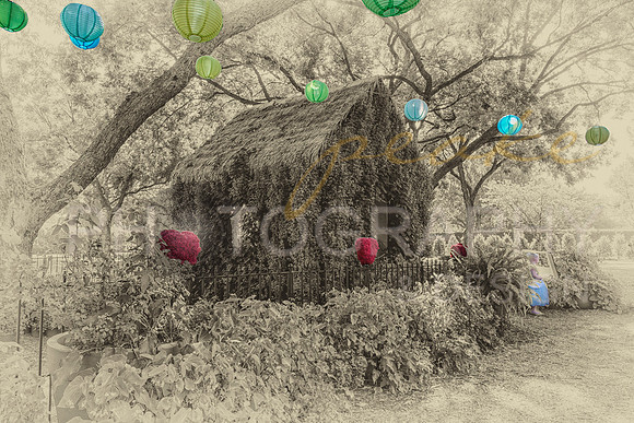 Alice in Wonderland - Dallas, TX - Sepia w/Color Balloons