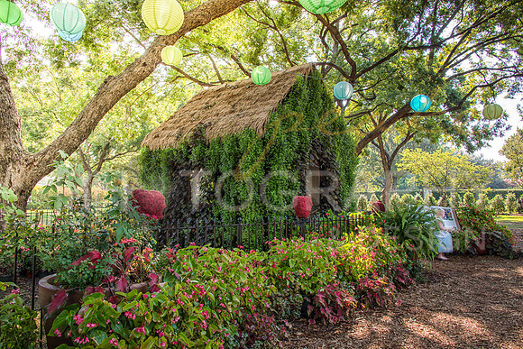 Alice in Wonderland - Dallas, TX