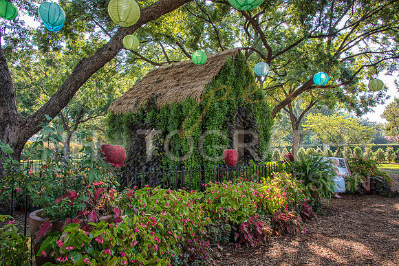Alice in Wonderland - Dallas, TX