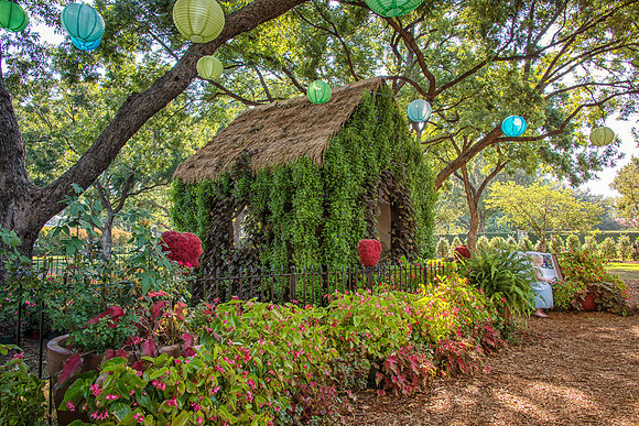 Alice in Wonderland - Dallas, TX