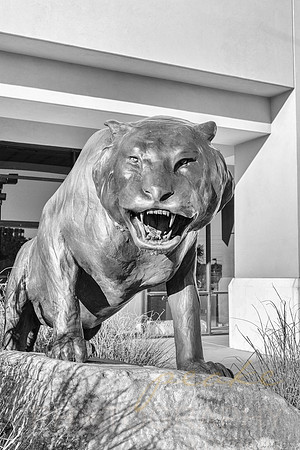 Bronze Broken Arrow Tiger Statue