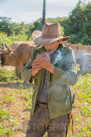 Cuban Cigars - Cuba