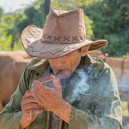 Cuban Cigars - Cuba