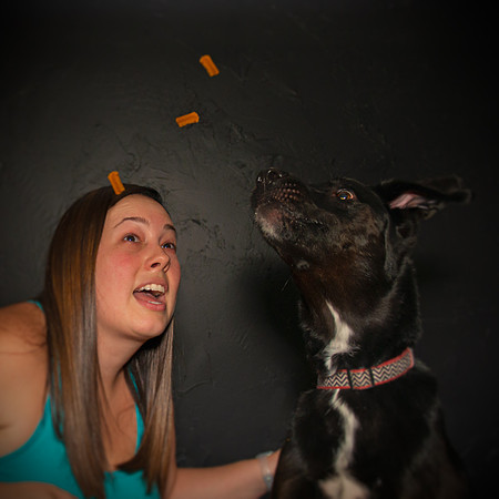 Paw Appetit