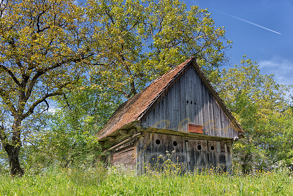 Romanian Barn