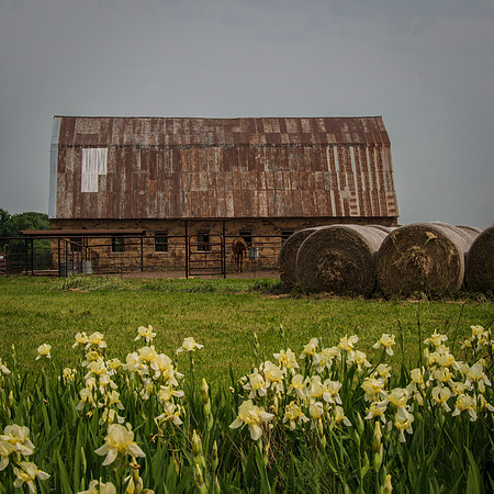 Wolverine Drayage Barn