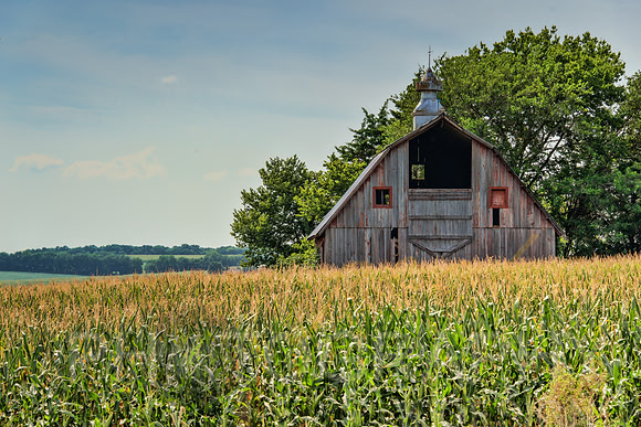 NE Smiling Barn - Special Technique